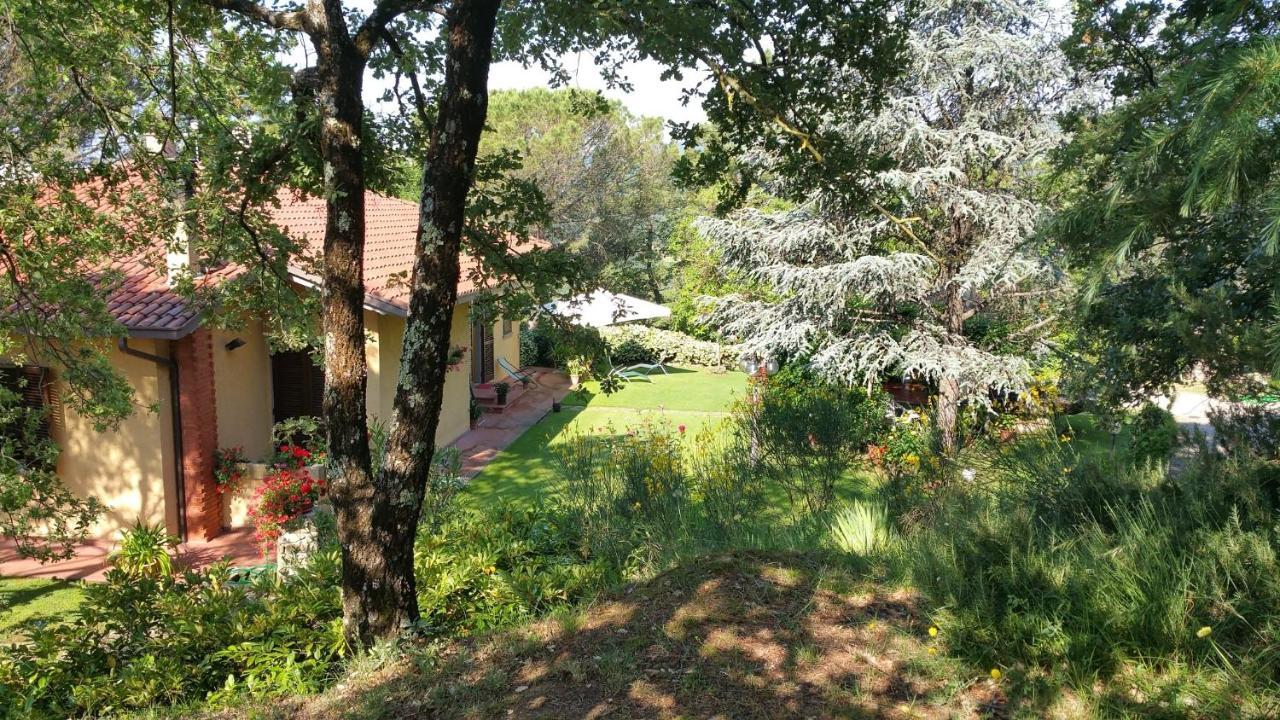 Villaspino Capolona Exteriör bild