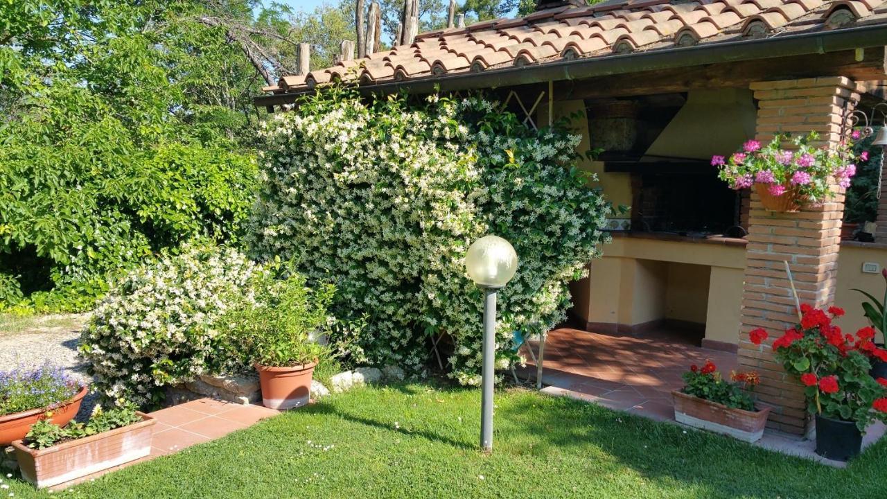 Villaspino Capolona Exteriör bild