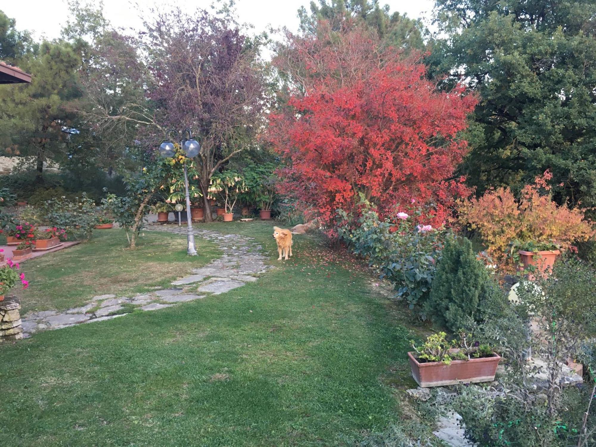 Villaspino Capolona Exteriör bild