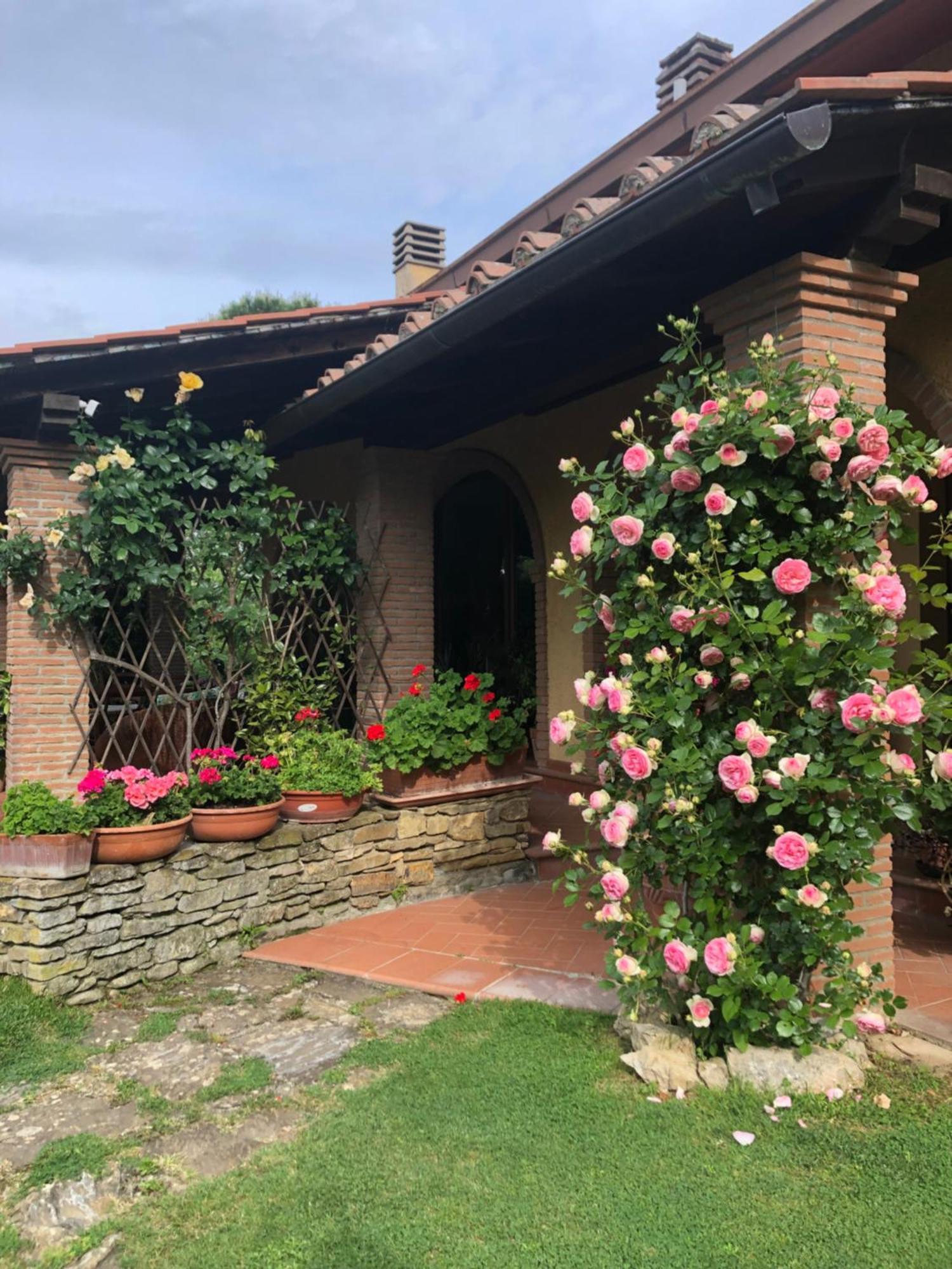 Villaspino Capolona Exteriör bild